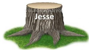 Dynasty pictured as a Stump of Jesse